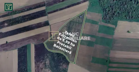Teren extravilan de 5,99 ha la 200 m de Mureș, ideal pentru balastieră în Ususău