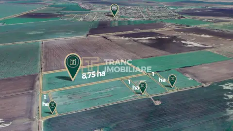 Teren agricol de 11,75 ha de vânzare, la 1,5 km de Turnu, jud. Arad