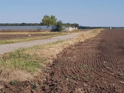 Teren intravilan de vânzare Brănești – DN3, deschidere 60 ml investie