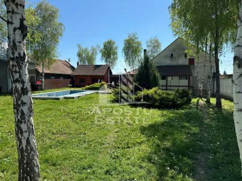 Casa de vanzare cu piscina si 5 camere in Dinias, Timis