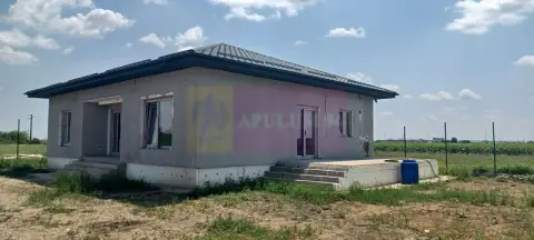Casă nouă parter, 4 camere, curte 400mp, Săbăreni