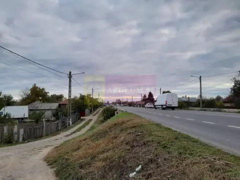 COSERENI (IL) - SE VINDE TEREN 2000 MP LA SOS BUCURESTI -URZICENI
