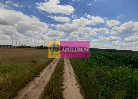 Teren 715mp în Snagov lângă Equestria