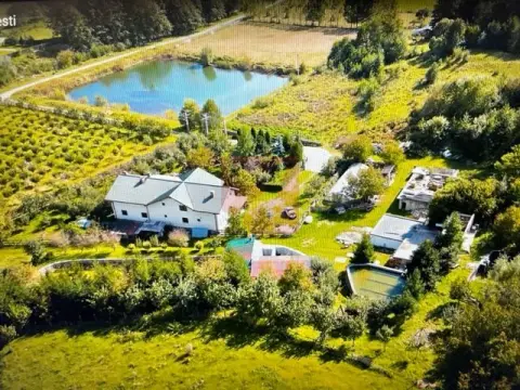 O proprietate de exceptie la Corbi, 18 ha, izvor, lac, pastravarie