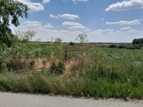 TEISOR (GR) - 2 TERENURI LIPITE (TOT. 16500 MP) DE VANZARE 90K EUR NEG