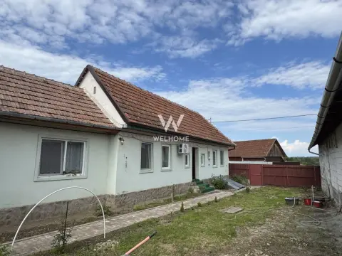 Casa individuala in Arpasu de Sus, teren mare, partial renovata