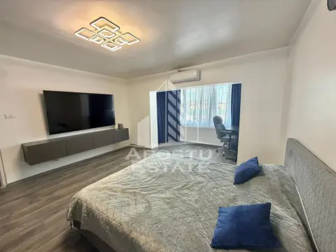 Apartament cu 1 camera de inchiriat, petfriendly, Sagului, Timisoara