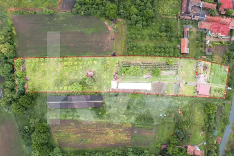 Teren intravilan 7.979 mp | ideal glamping, pensiune sau investiție | Mureș