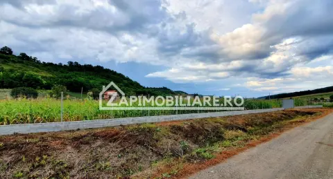 Teren intravilan 25 ari la iesire din Livezeni spre Ivanesti 48 eu /mp