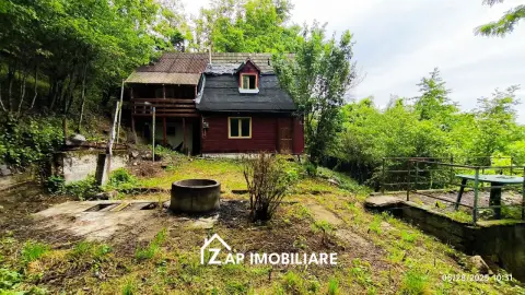 Teren Platou - 1613 mp - cu căbănuță intabulată– vedere panoramica