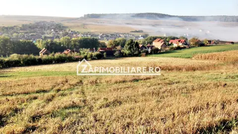 Teren 25.000 mp. Comuna Voiniceni ,12 euro mp.comision ZERO