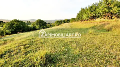 Teren Intravilan,5.000mp cu utilităti si proiect casă 12e mp