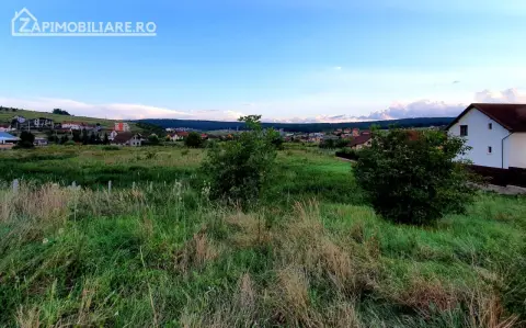 Teren intravilan 5.700 mp in Corunca,zona castelului,34 eu/mp