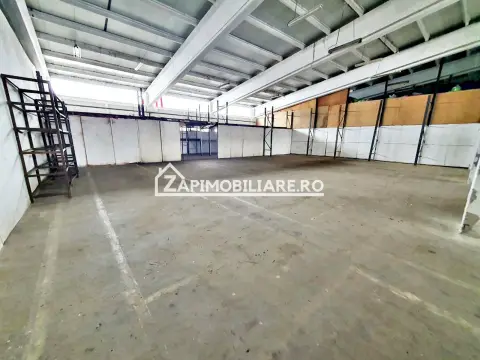 Hale cu suprafatade 300 mp si 440 mp zona Ambient
