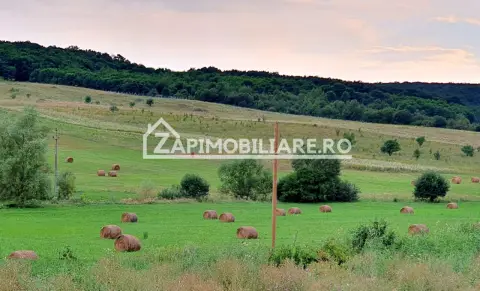 Teren intravilan 50 ari,Livezeni,iesire catre Ivanesti,28 eu/mp